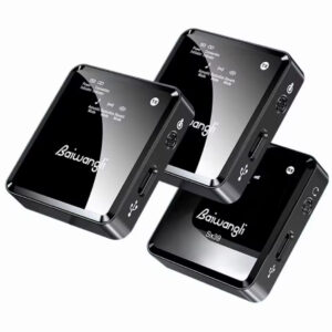 Sx39 Double Wireless Lapel Microphone and Receiver